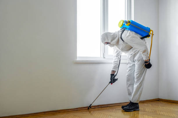  Arlington Heights, IL Pest Control Pros